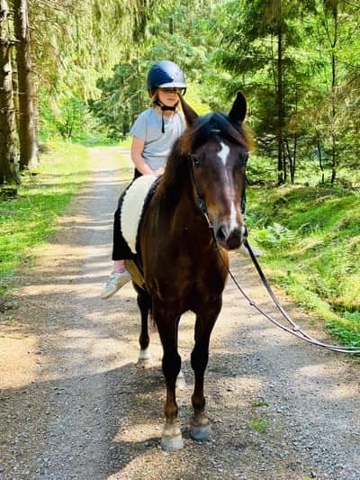 Inlägg 12 av New Forest med titeln 😻