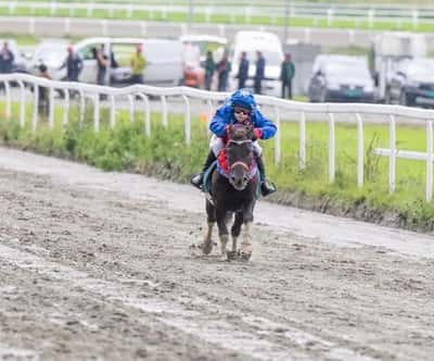 Inlägg 88 av Galopp med titeln Derby på Øvrevoll i Norge 🇳🇴 