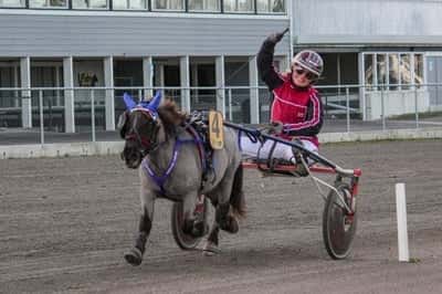 Inlägg 79 av Ponnytrav med titeln DPK’s ponnytravgala 