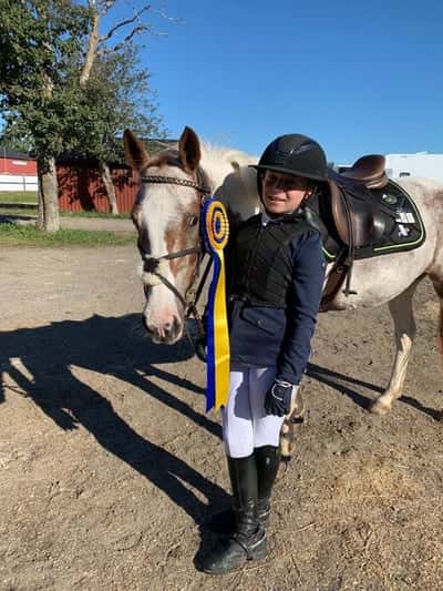 Post 320 of Show jumping with title Vinst Högbo