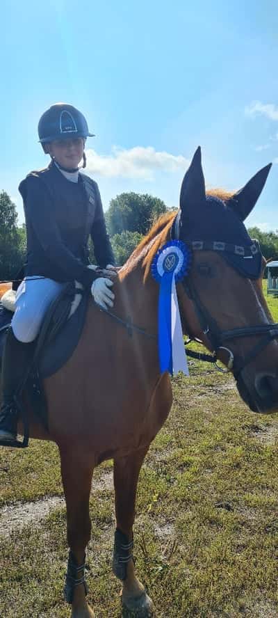 Post 474 of Show jumping