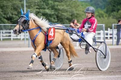 Inlägg 95 av Ponnytrav med titeln DPK’s ponnytravgala 