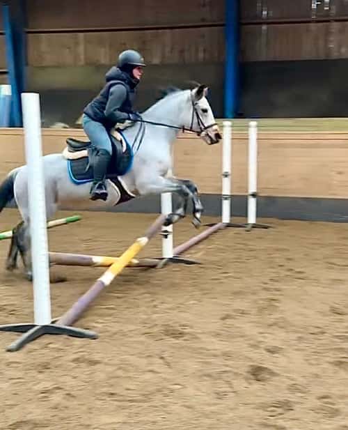 Bild av Perfekt förstaponny/läromästare