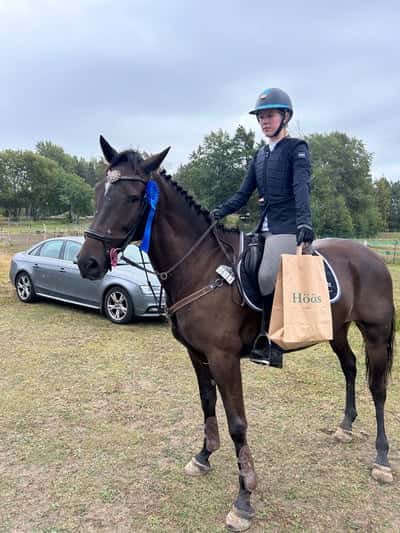 Post 37 of Show jumping with title MJ’s senaste rosett✌🏼🎀