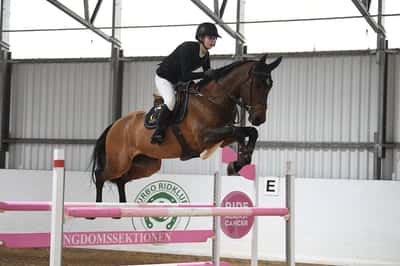 Inlägg 82 av Allround