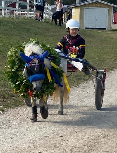 Post 49 of Show jumping with title Ponnytrav 