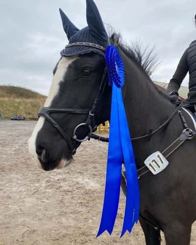 Post 283 of Show jumping with title Bakgrund 