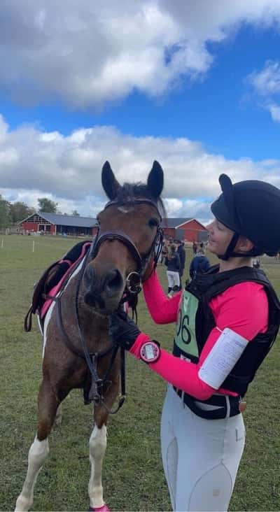 Inlägg 10 av Fälttävlan med titeln P80🪵