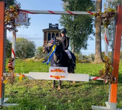 Post 143 of Show jumping