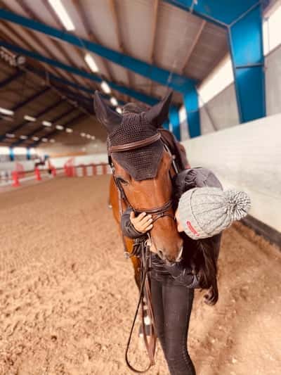 Inlägg 11 av American Curly med titeln Harry⚡️