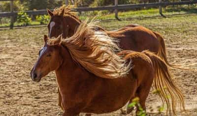 Inlägg 117 av Allround
