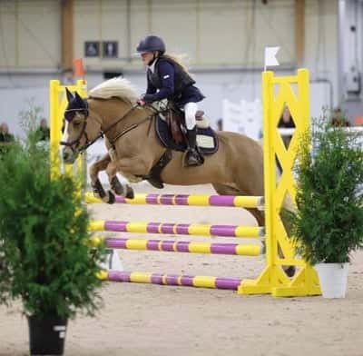 Inlägg 4 av Ardenner med titeln Erikan Jönköping 