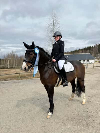 Inlägg 40 av Allround