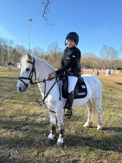 Inlägg 15 av Okänd Ras med titeln Tävlingsdebut- två felfria rundor och blågul rosett ⭐️