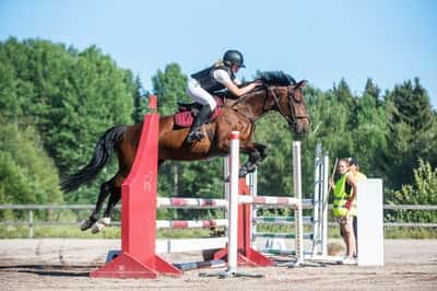 Inlägg 95 av Allround