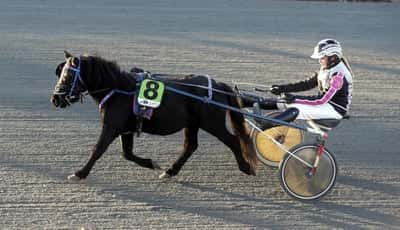 Inlägg 32 av Ponnytrav med titeln DPK’s Ponnytravgala 