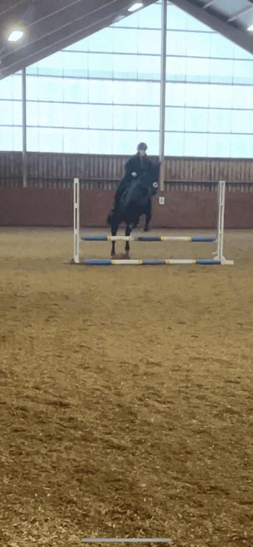 Bild av Ridtravare med hög potential 