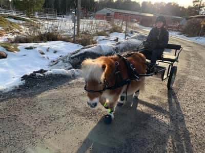 Inlägg 37 av Allround med titeln En tur i solen! 