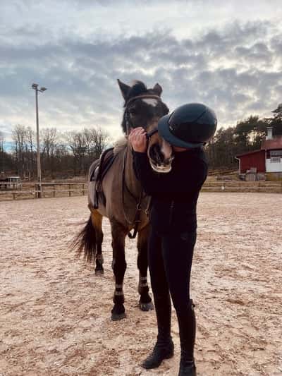 Inlägg 177 av Allround med titeln ❤️