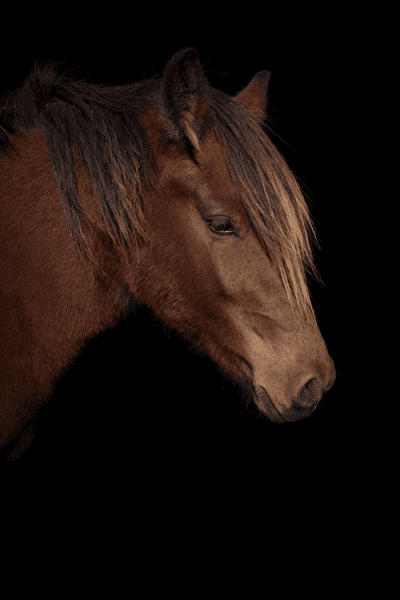 Min Lilla Gränslös