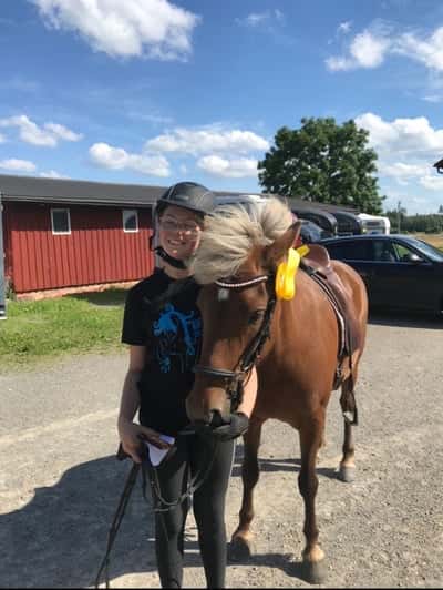 Inlägg 43 av Island med titeln Ridläger på Forsen