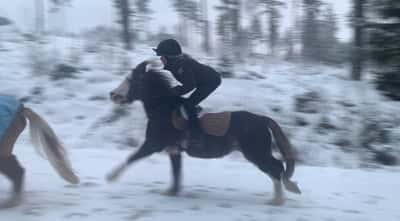 Inlägg 13 av Galopp med titeln 🏇🏿🏇🏿