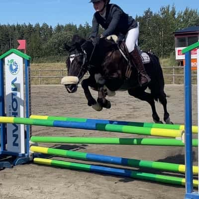 Lerbjerggaards Primo