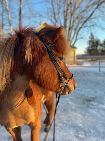 Inlägg 87 av Allround med titeln 🫶🏻