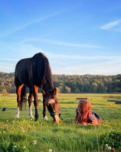 Inlägg 23 av Allround