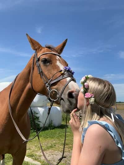 Inlägg 8 av Allround med titeln 💕GLAD MIDSOMMAR💕