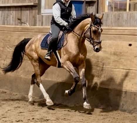 Bild av En kille med mycket utstrålning!