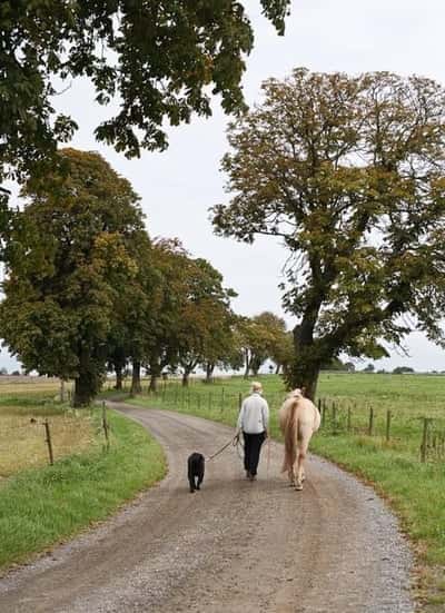 Post 1 of Bashkir with title Sensommar-throwback 🍂