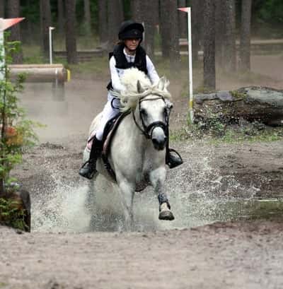 Inlägg 10 av Fälttävlan med titeln Tävling 
