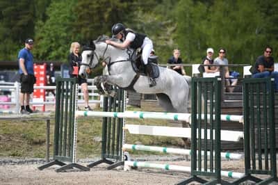 Inlägg 42 av Allround