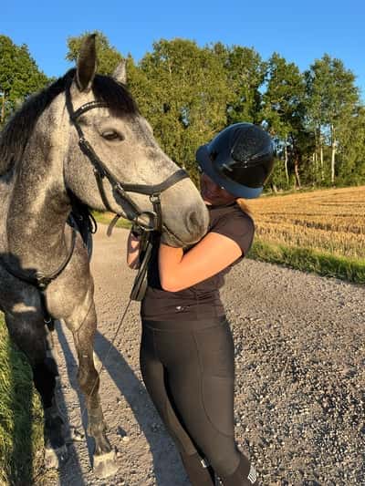 Inlägg 1 av Svensk Ridhäst med titeln Nino❤️