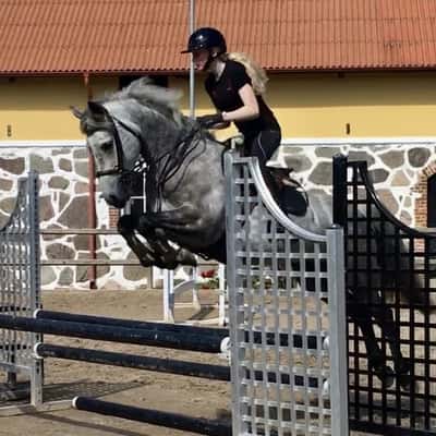 Knockbridge Snow White