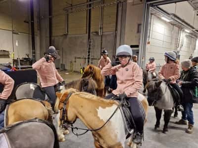 Inlägg 104 av Galopp med titeln Friends 