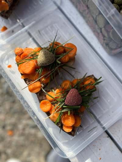 Inlägg 7 av Fjordhäst med titeln Brunte 23år 🥹🎂🎉🥳