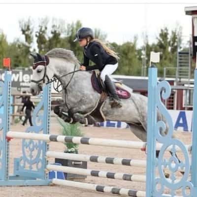 Inlägg 59 av Allround