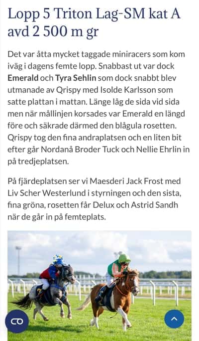 Inlägg 16 av Korsningsponny med titeln Referat