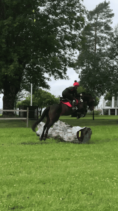 Inlägg 40 av Fälttävlan med titeln Terräng träning för Anki😍