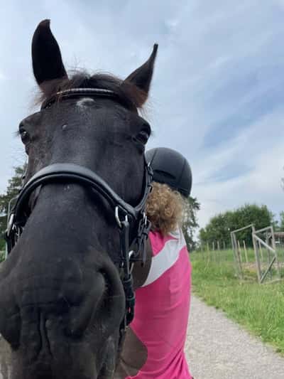 Inlägg 10 av Trickridning med titeln Myys 🖤🫶🏼