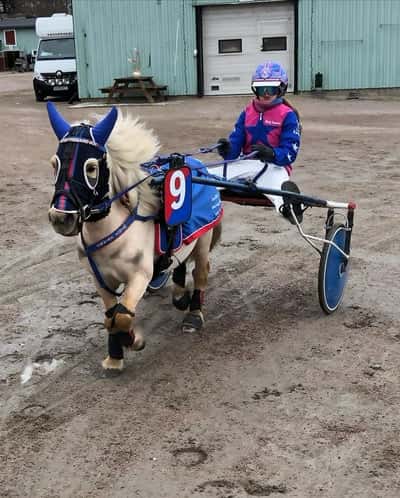 Inlägg 1 av Ponnytrav med titeln Ponnytrav