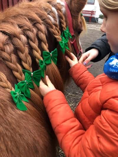 Inlägg 45 av Galopp med titeln Flätor