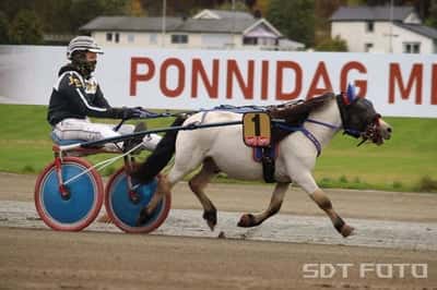 Inlägg 2 av Avel med titeln Ponnytrav