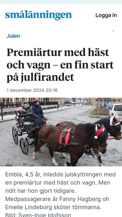 Post 15 of Para Equestrian with title Julskyltning 