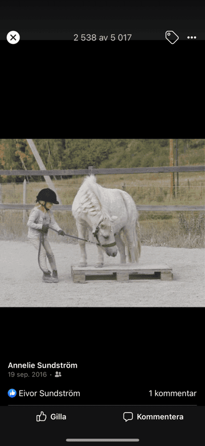 Inlägg 25 av Allround med titeln Agility 