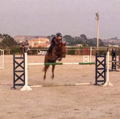 Inlägg 114 av Allround