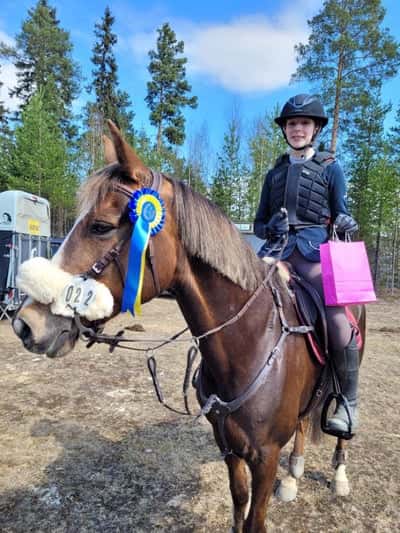 Post 208 of Show jumping with title Vinst LD+🥇