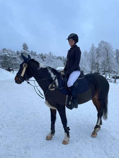 Post 131 of Show jumping with title Sista tävlingen för året.